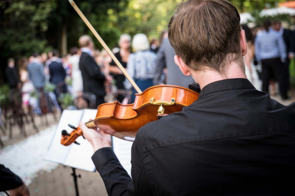 Violin