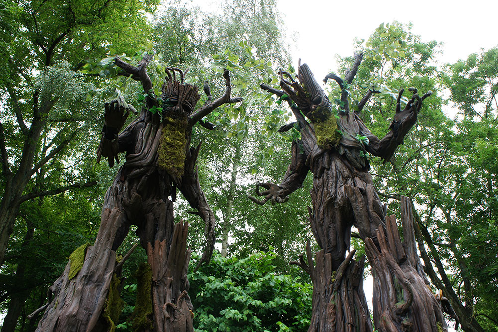 Enchanted Forest Entertainment Image