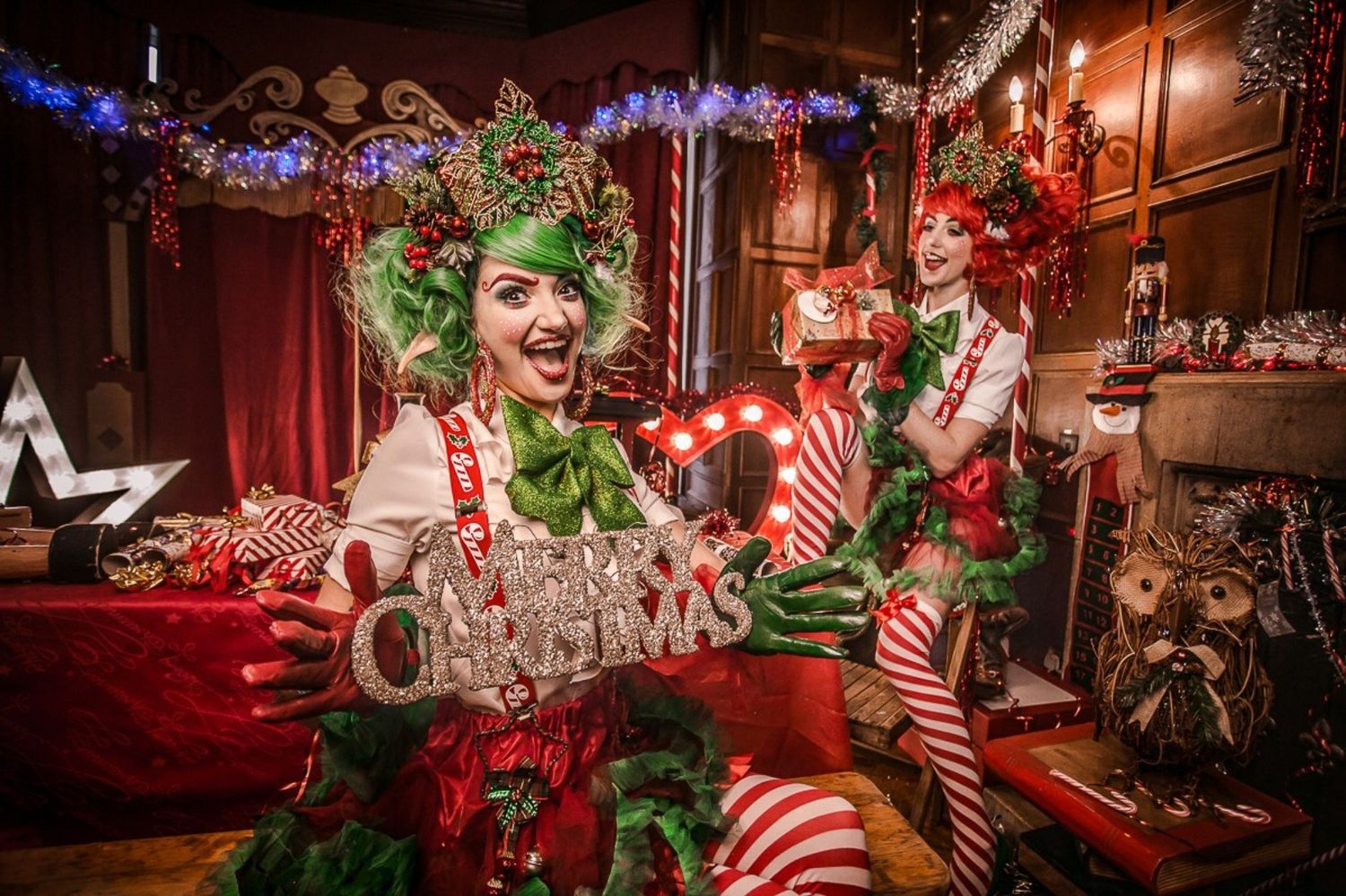 Christmas Themed Entertainment Image